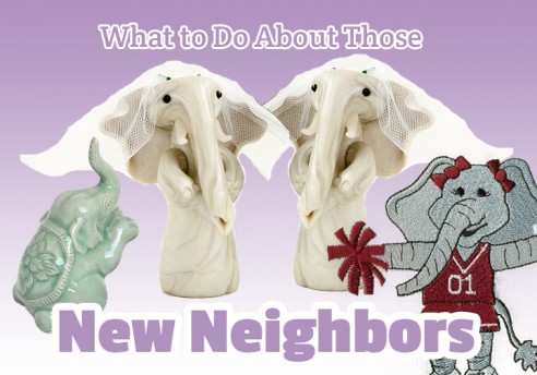 What to Do about those New Neighbors? Image